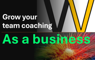 business development for team coaches