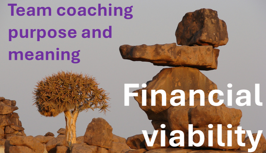 adv4 poster Balance sheet for team coaches